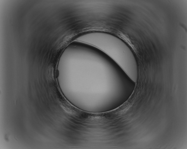 X0000094920205200711291030