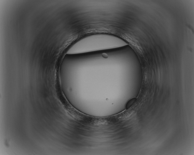 X0000094920206200711291030