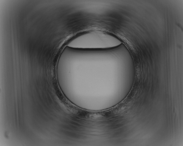 X0000094920208200711291030