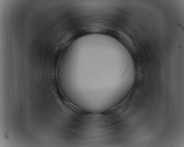 X0000094920210200711291030