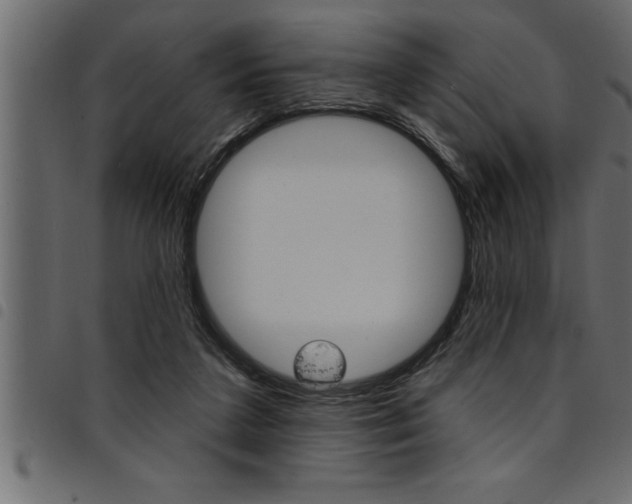 X0000094920211200711291030
