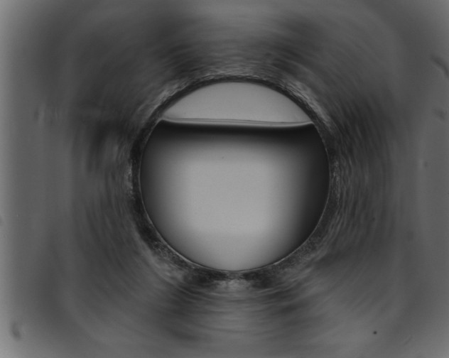 X0000094920212200711291030
