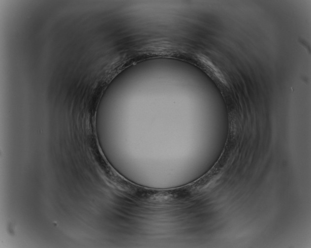 X0000094920213200711291030