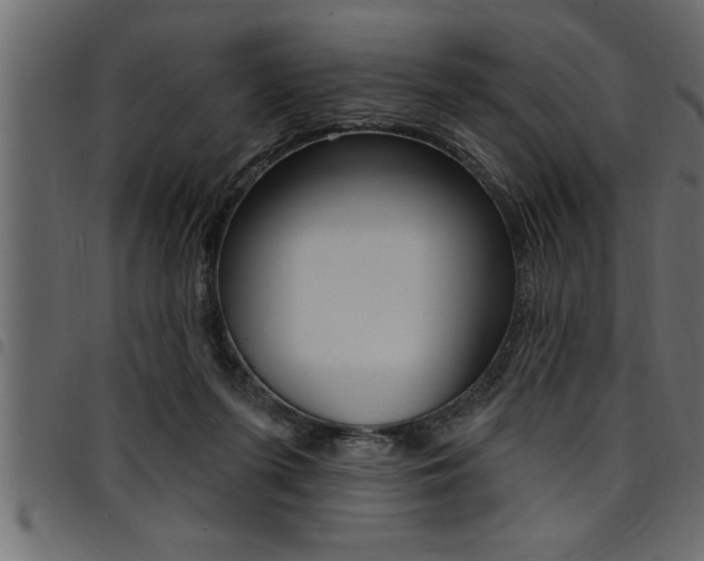 X0000094920215200711291030