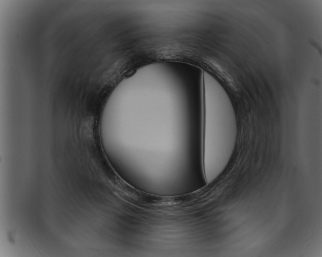 X0000094920217200711291030