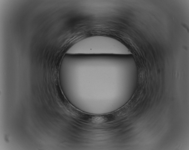 X0000094920218200711291030