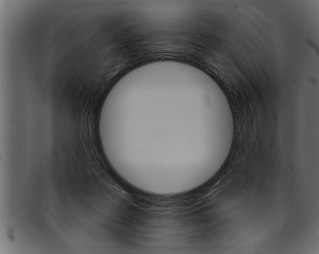 X0000094920219200711291030