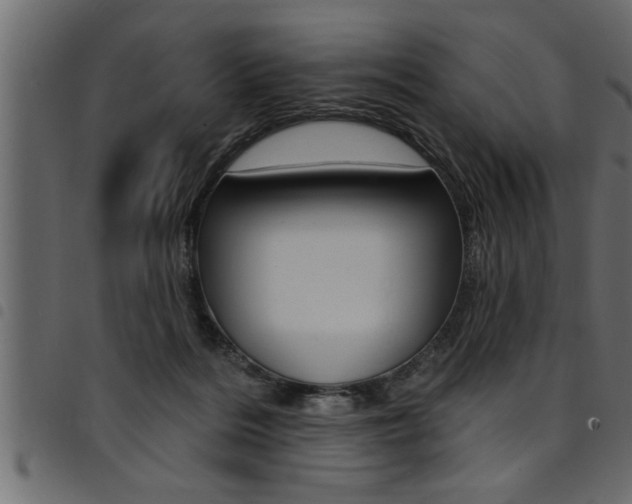 X0000094920220200711291030