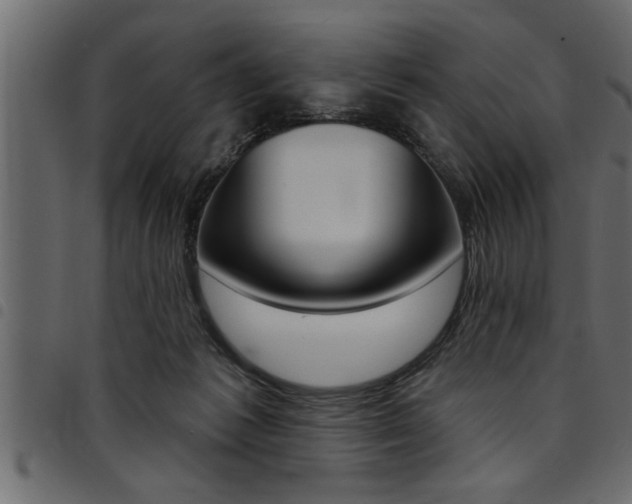 X0000094920221200711291030