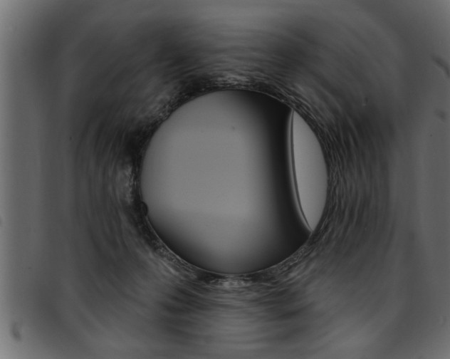 X0000094920223200711291030