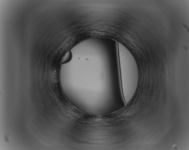 X0000094920224200711291030