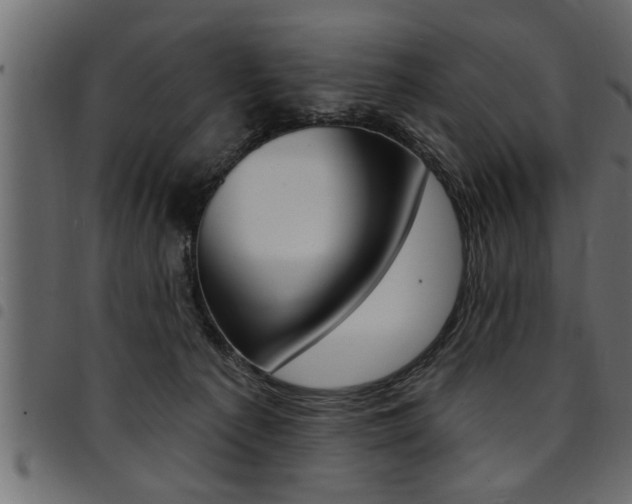 X0000094920225200711291030