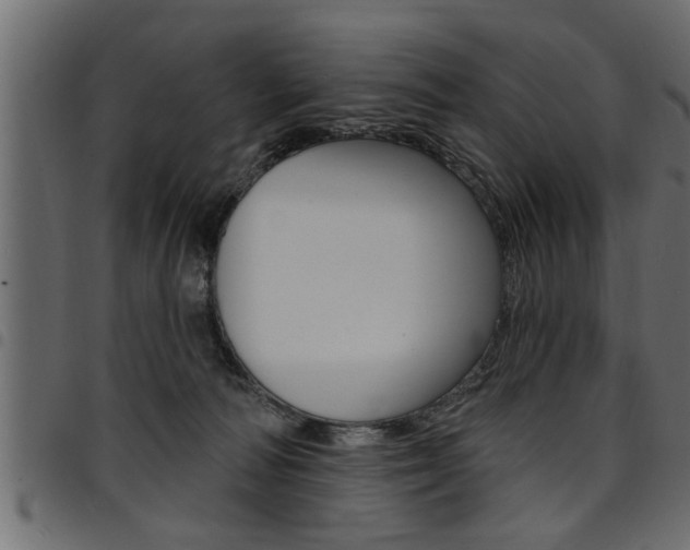X0000094920226200711291030