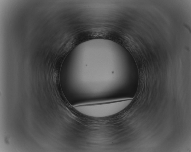 X0000094920227200711291030