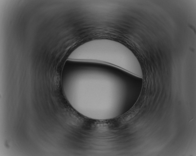 X0000094920228200711291030