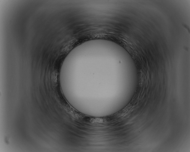 X0000094920230200711291030
