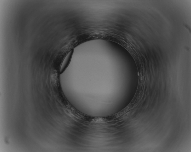 X0000094920231200711291030