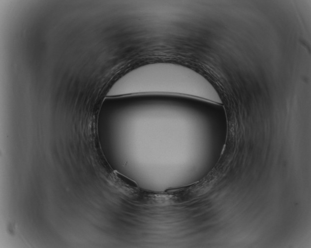 X0000094920233200711291030