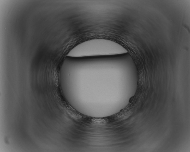 X0000094920234200711291030