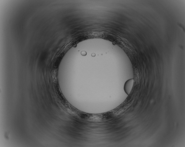 X0000094920236200711291030