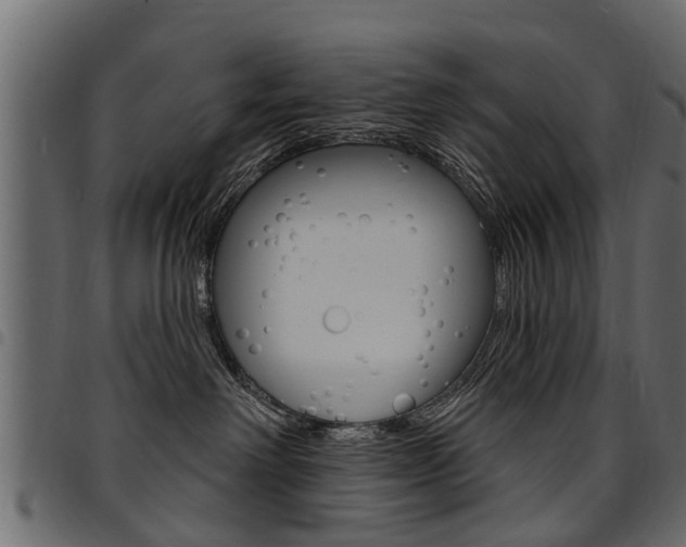 X0000094920238200711291030