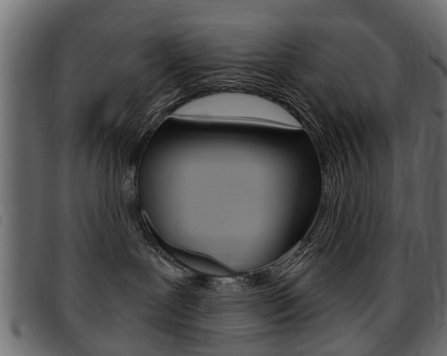 X0000094920239200711291030