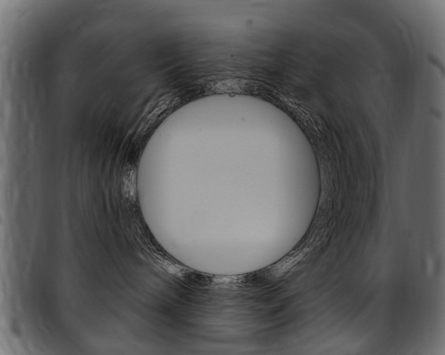 X0000094920240200711291030