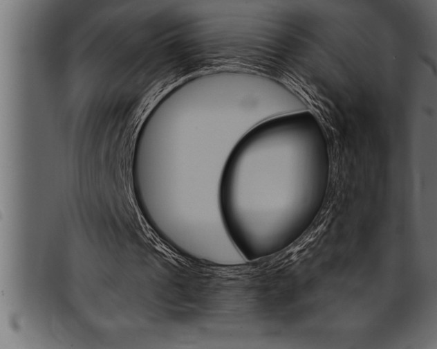 X0000094920241200711291029