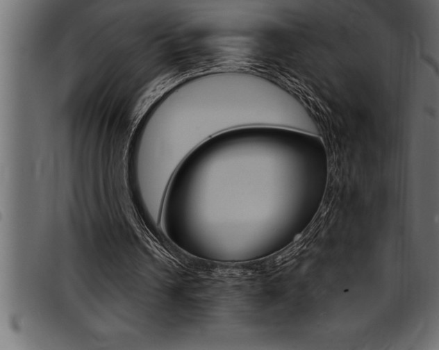 X0000094920242200711291029