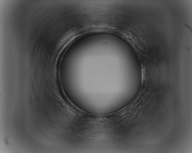 X0000094920243200711291029