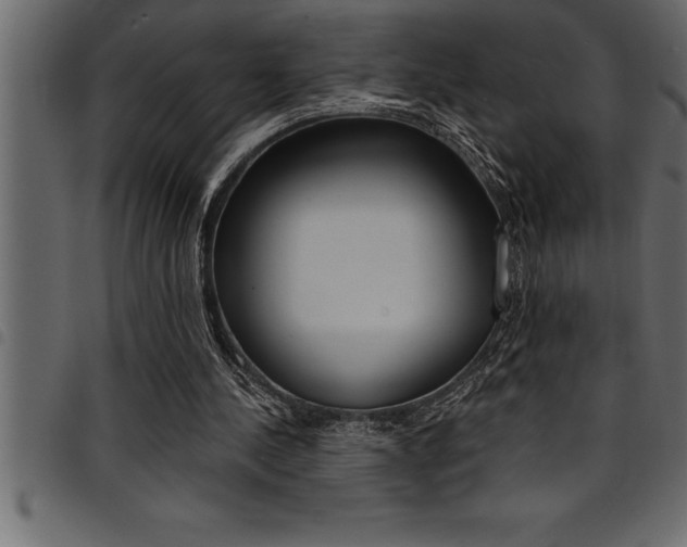 X0000094920244200711291029