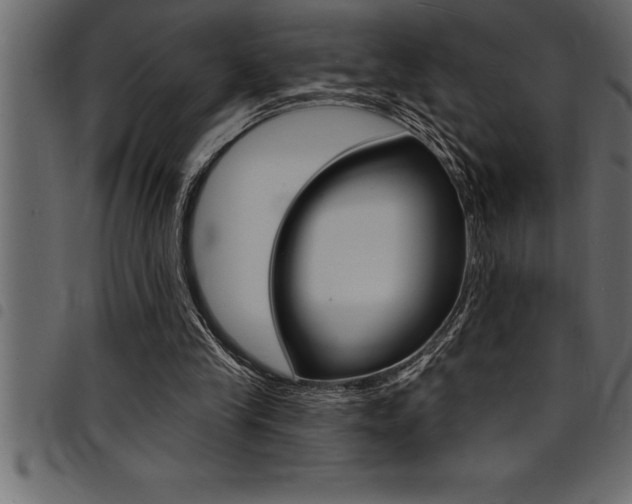 X0000094920245200711291029