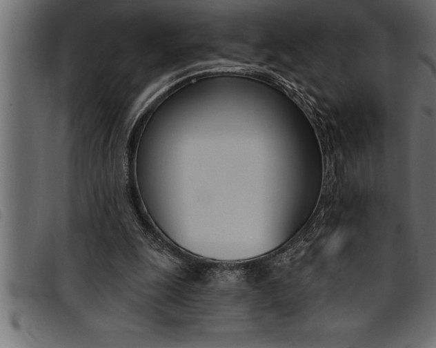 X0000094920247200711291029