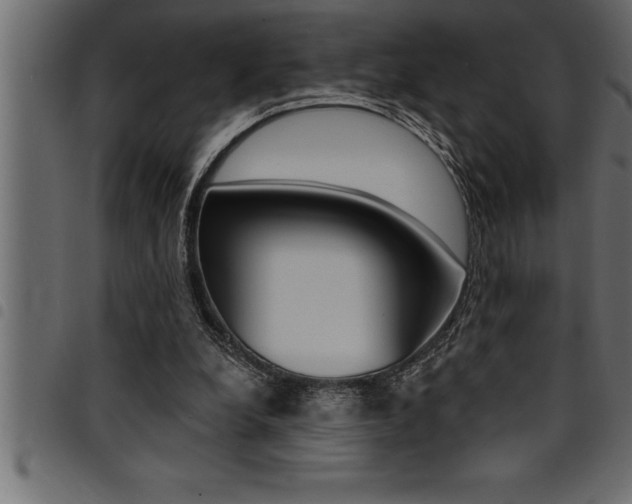 X0000094920248200711291029