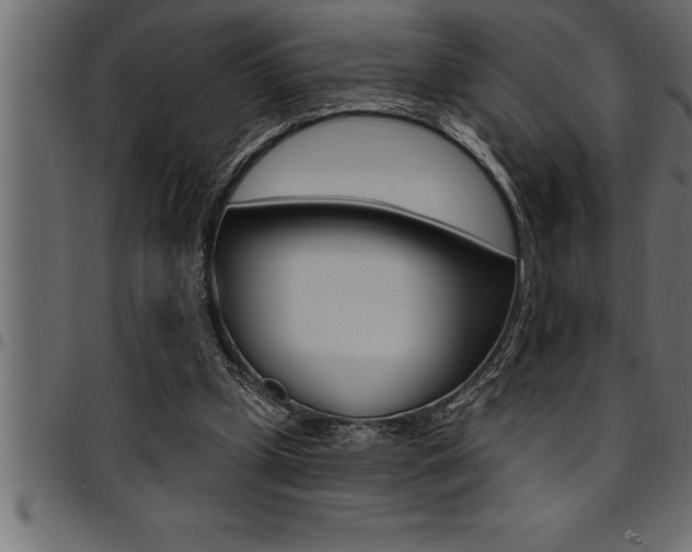 X0000094920249200711291029