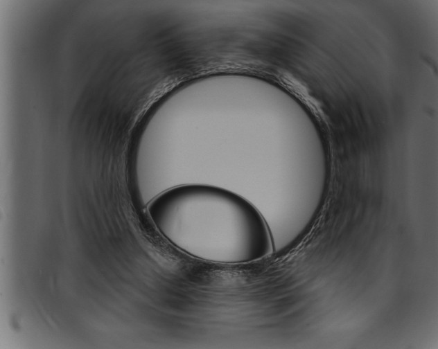 X0000094920250200711291029