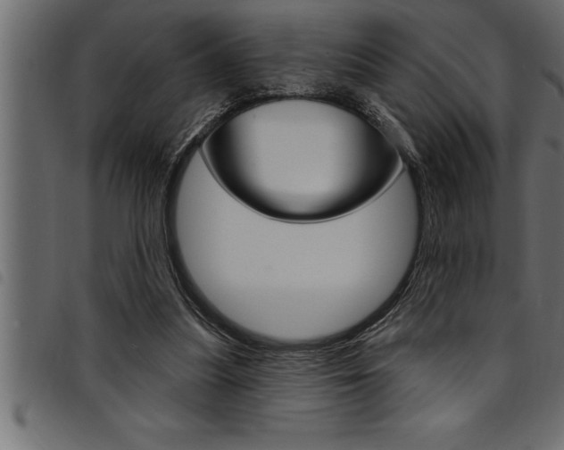 X0000094920251200711291029