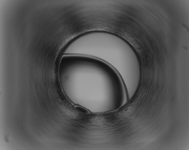 X0000094920252200711291029