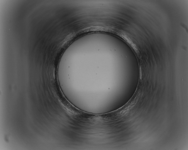 X0000094920253200711291029