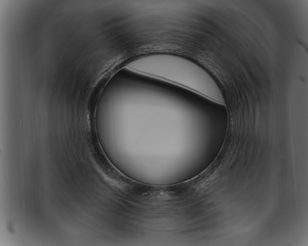 X0000094920254200711291029