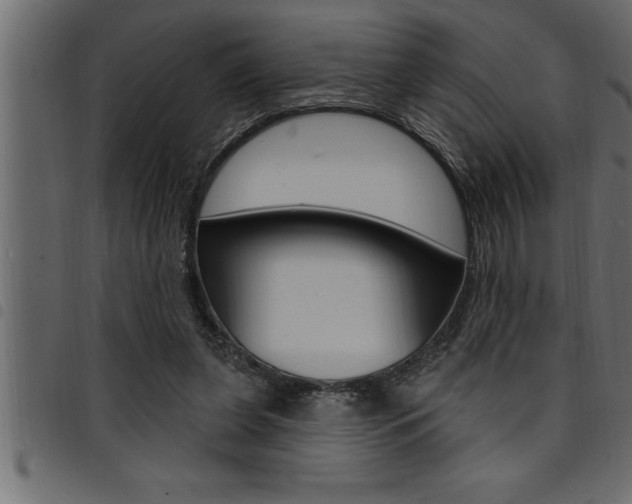 X0000094920255200711291029