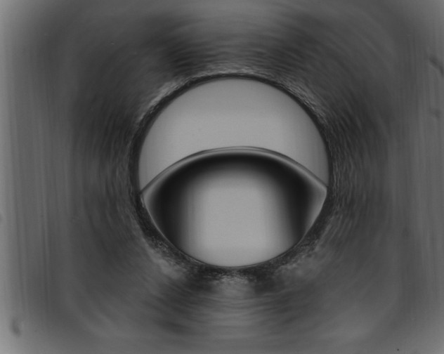 X0000094920256200711291029