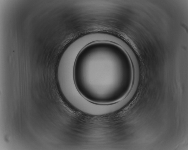 X0000094920257200711291029