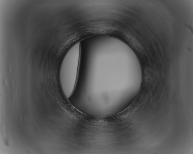 X0000094920258200711291029
