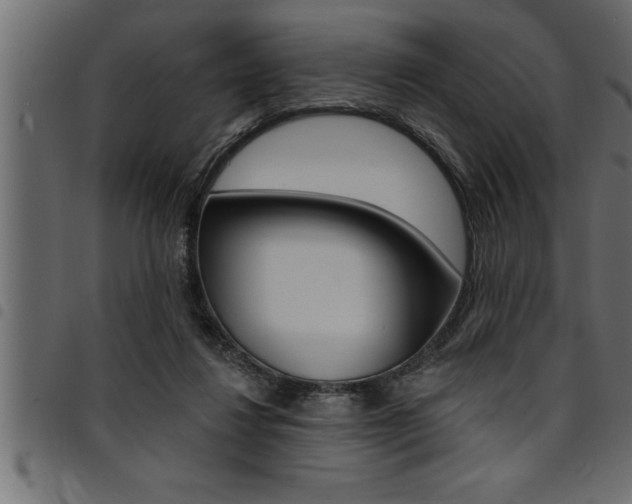 X0000094920260200711291029