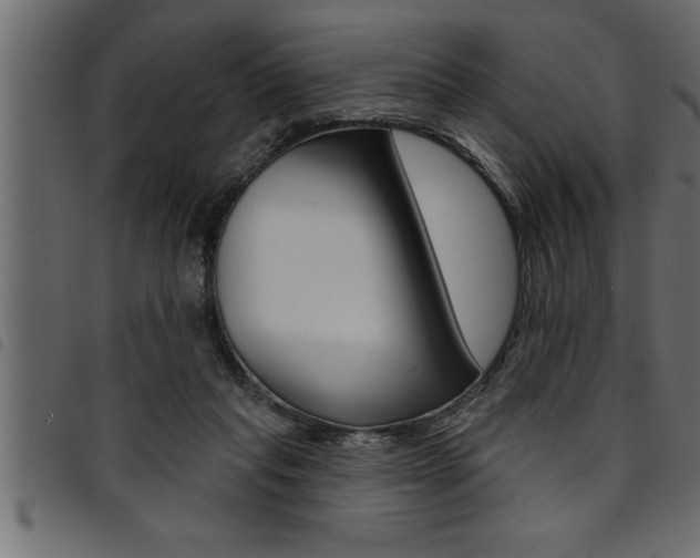 X0000094920261200711291029