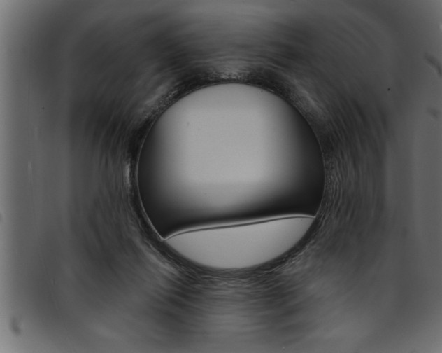 X0000094920262200711291029
