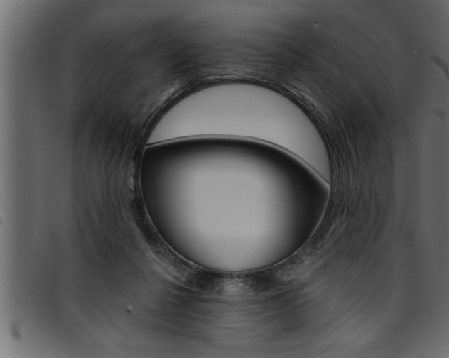 X0000094920264200711291029