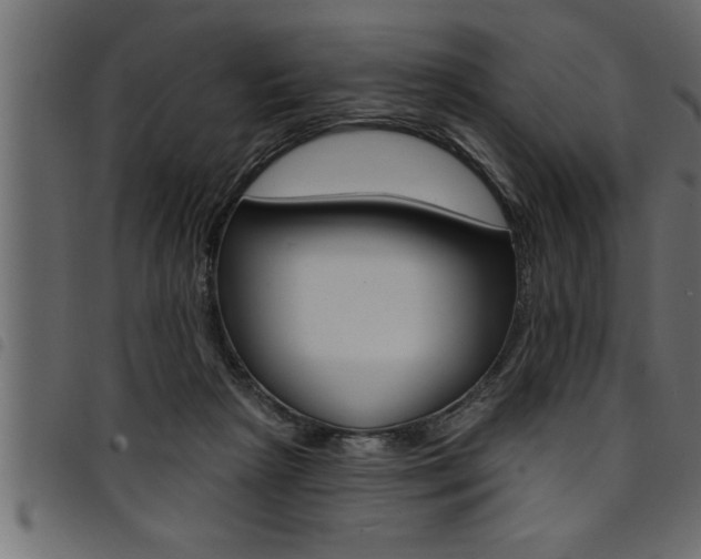 X0000094920265200711291029