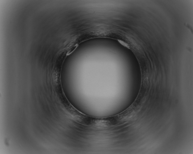 X0000094920268200711291029